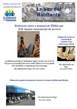 revista5