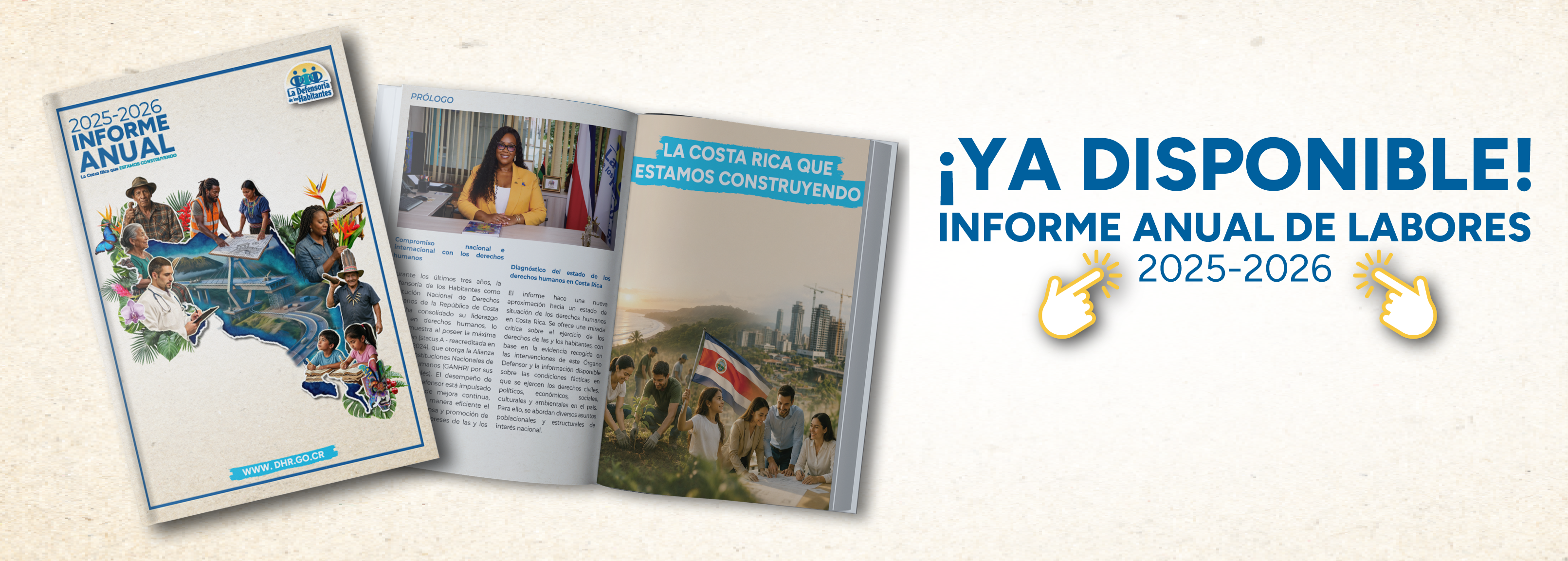 Link al informe anual